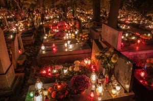 Fotolia_47202189_L-Osèques-martinique-cimetière-300x199