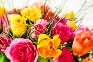 Les bienfaits de la rose sur la santé