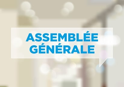 Assemblee generale