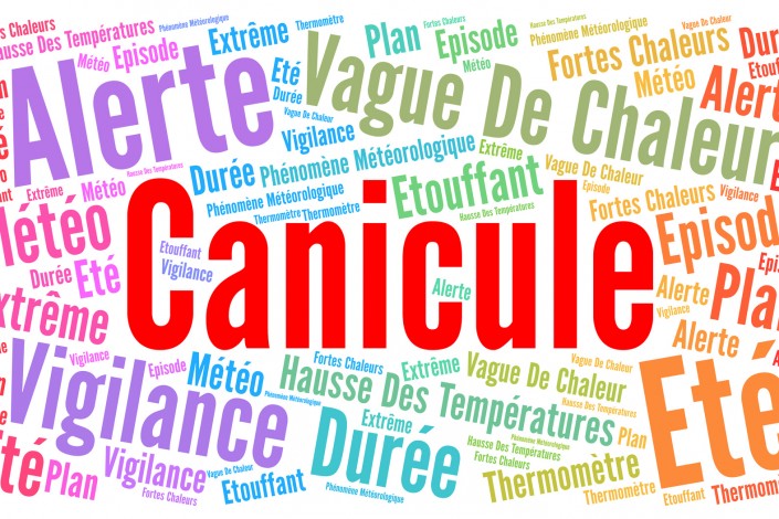 Canicule