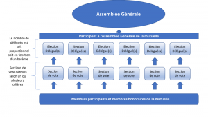 Schéma assemblée générale