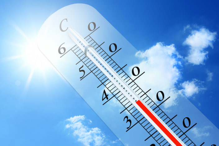 Canicule France juin 2019