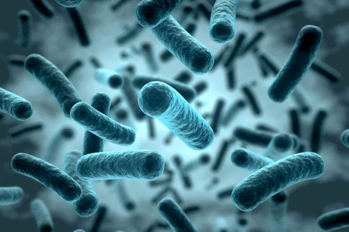 Bactérie Klebsiella Pneumoniae