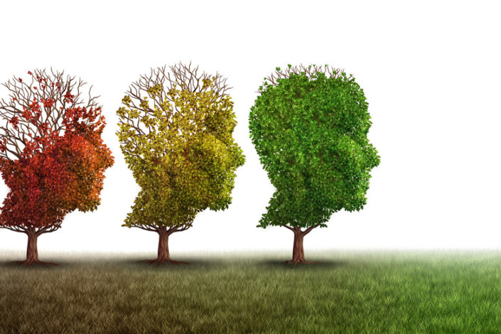Alzheimer Nora test