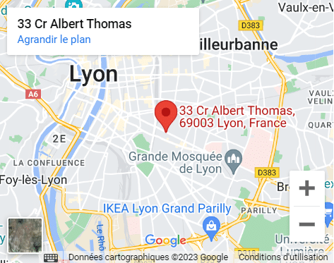 Google Maps Lyon Miltis